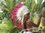 Indianer Kopfschmuck Federhaube Original Little Big Horn