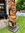 Totempfahl Indianer Marterpfahl Original Little Big Horn 2,50 Meter