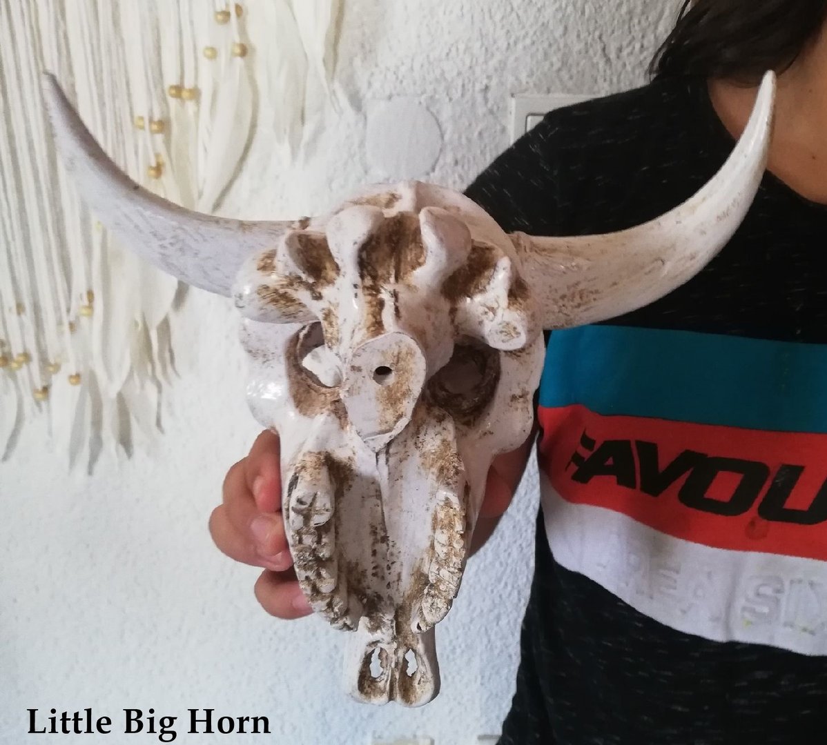 Büffelschädel Bullenkopf Langhornschädel Skull Amerikanischer Büffelschädel  NEU 