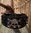 DOG COLLAR Bulzeye skullhead with rivets black SIZE XL