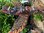 Totempfahl Indianer Marterpfahl Bemalt Little Big Horn 1,20 Meter